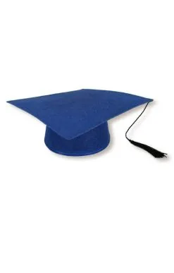 Univesitäts Hut Blau