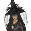 Hexenhut Mit Tüllschleier Und Federn