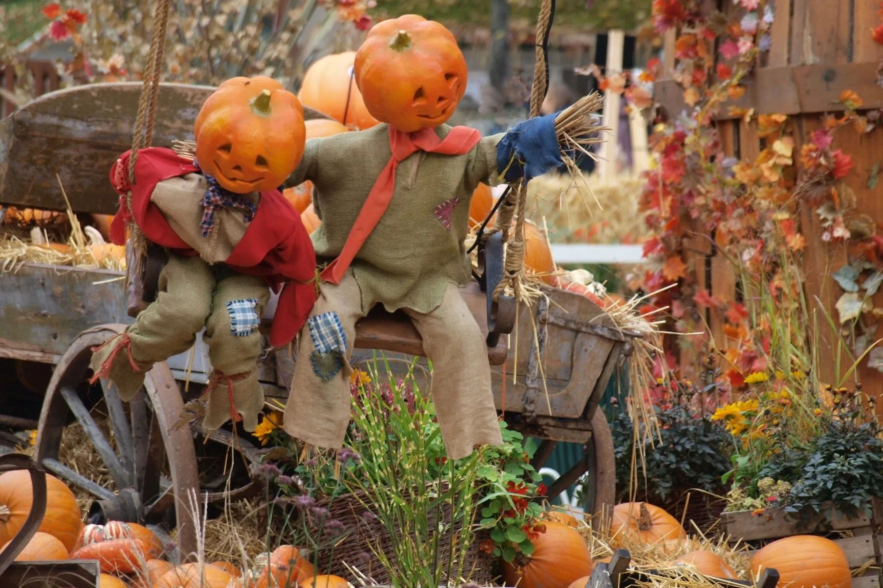 Attrappen Verkäufe 2023 -Attrappen Verkäufe 2023 万圣 2